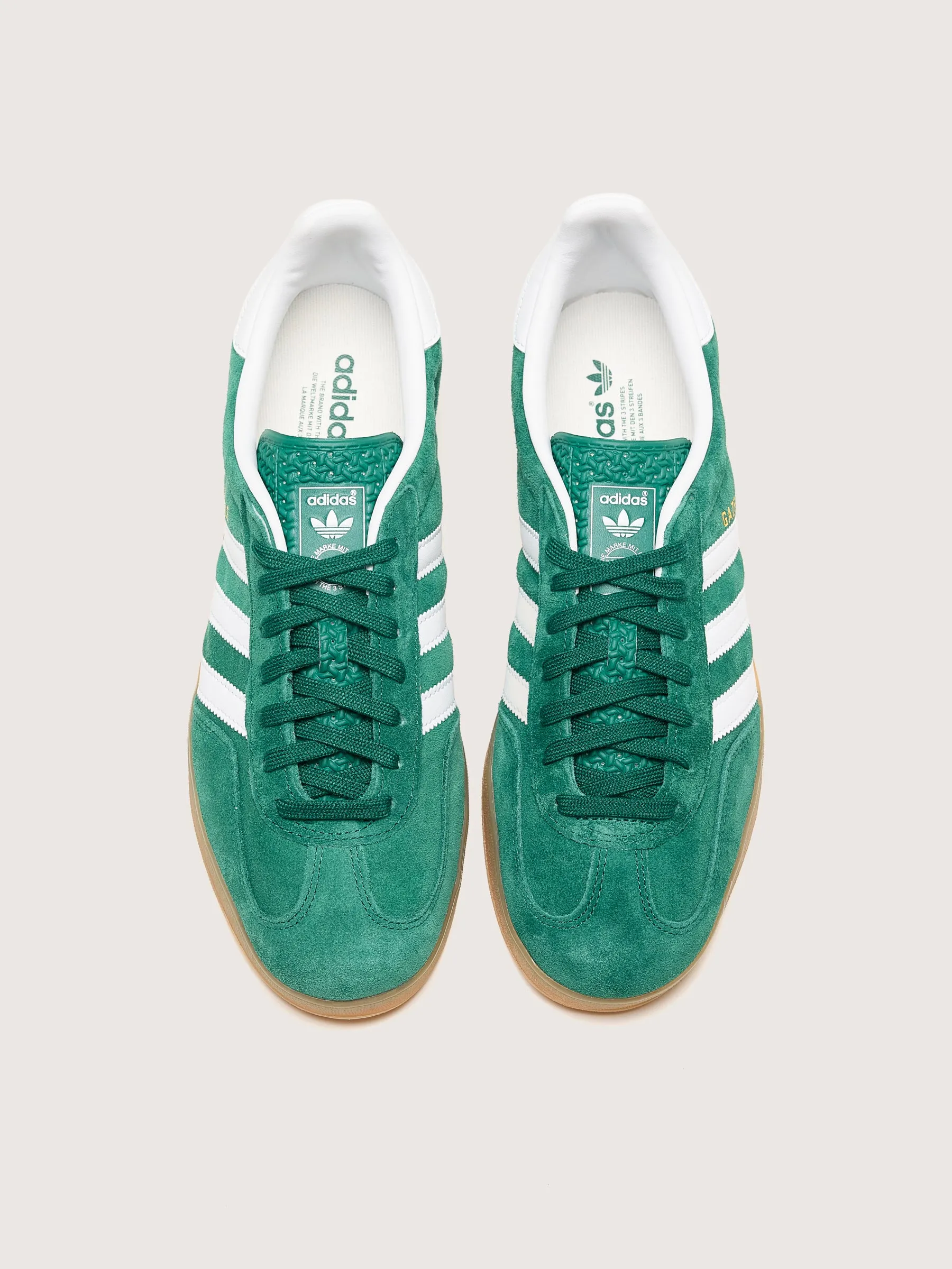 ADIDAS | GAZELLE INDOOR FOR MEN