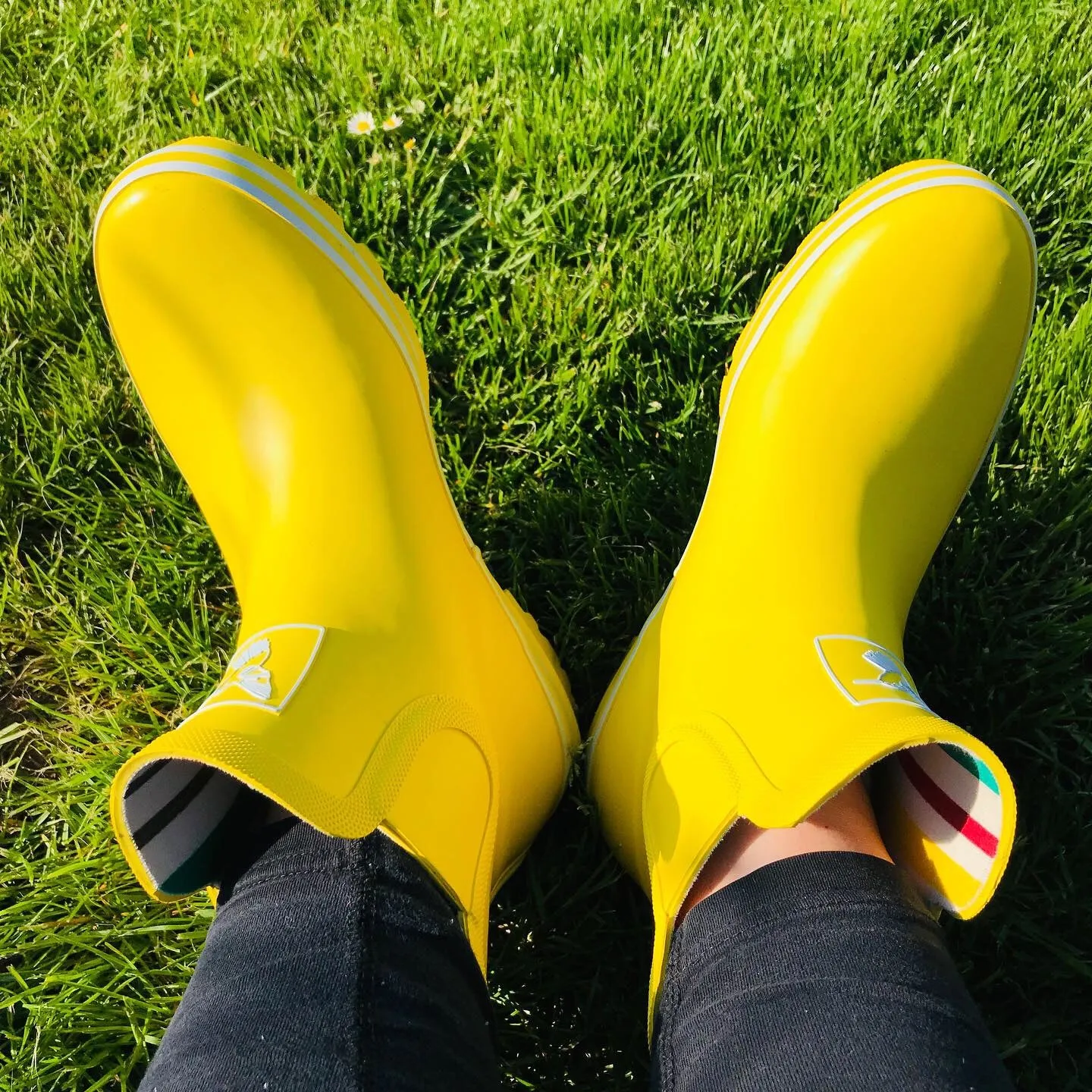 Evercreatures Yellow Meadow Ankle Wellies