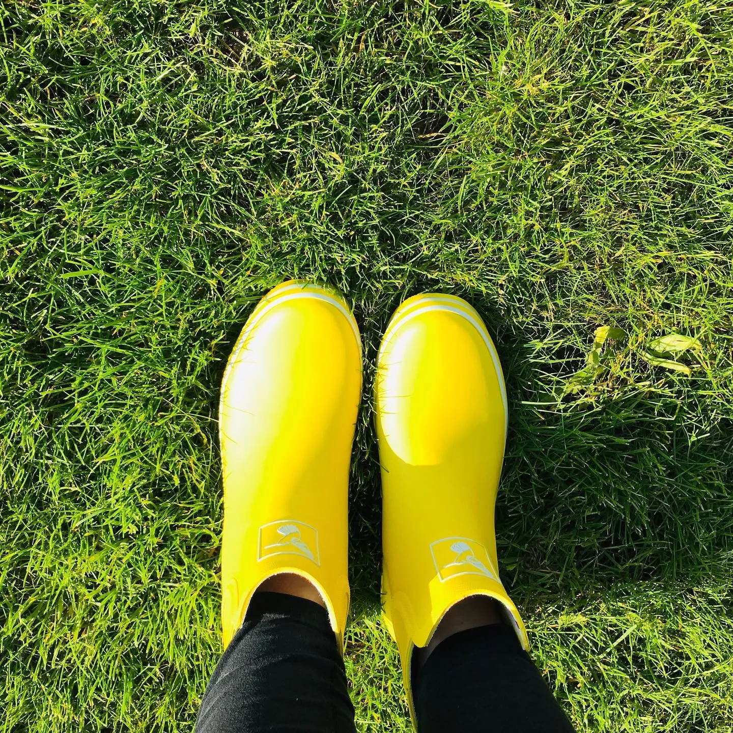 Evercreatures Yellow Meadow Ankle Wellies