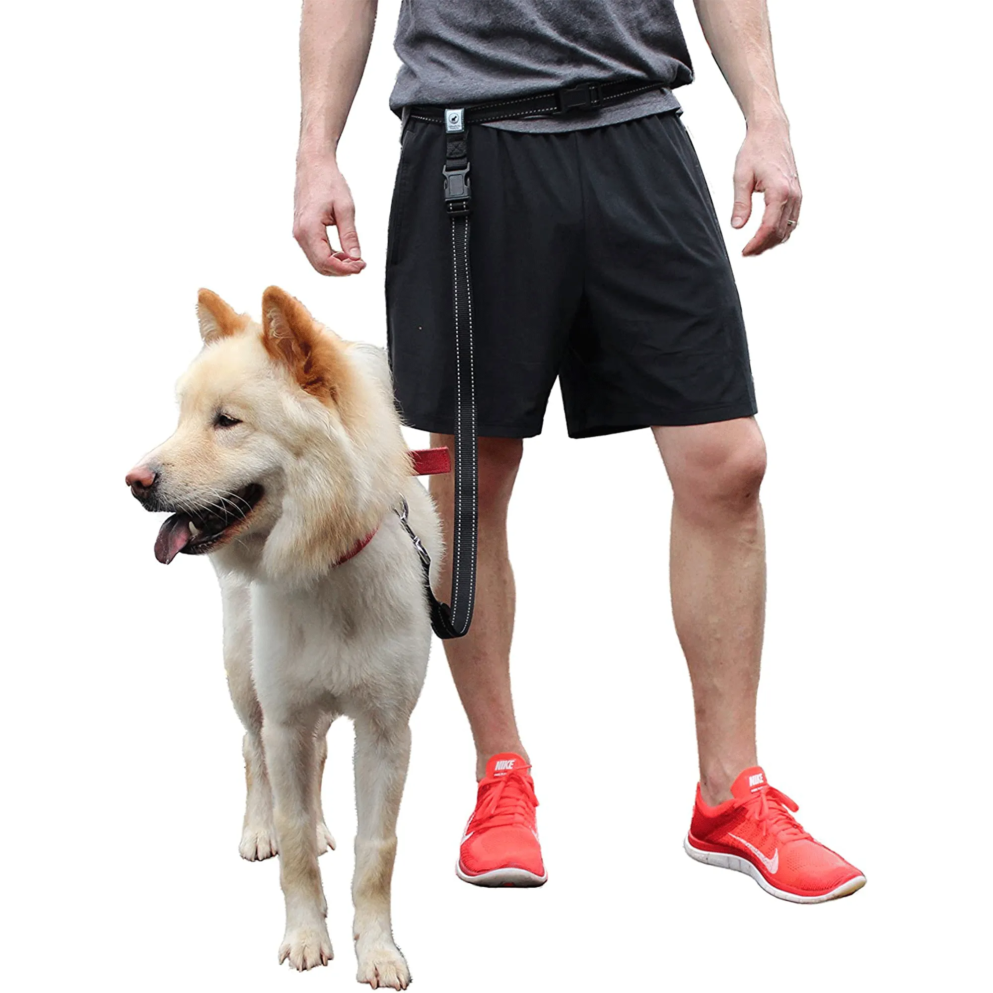 Running Leash